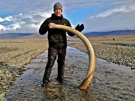 A Picture Postcard From Wild Wrangel Island The Picture Show Npr