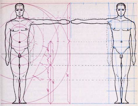 Drawing A Human Figure In Correct Measurements And Proportions With Archaic Calculations How