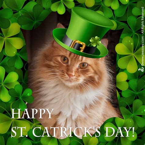 Fun And Facts For St Catricks Day Zee And Zoeys Cat Chronicles