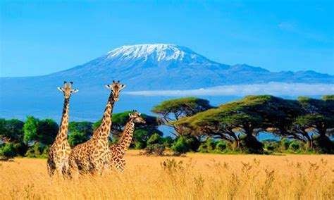 7 Days Amboseli Hells Gate And Maasai Mara Adventure Trip Ways