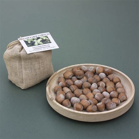 Cobnut Collection Chestnut Nut Bowl Potash Farm