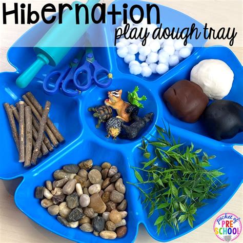 Hibernation Centers And Activities Pocket Of Preschool