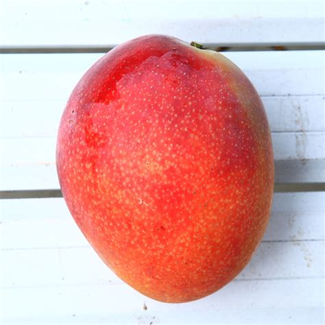 六层楼视频 两性百科 杏map mod导航 kk福利导航 热淘导航 大香蕉导航 土豆. 產季：4～8月