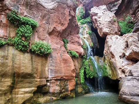 This Natural Oasis Is Hiding In Arizonas Grand Canyon