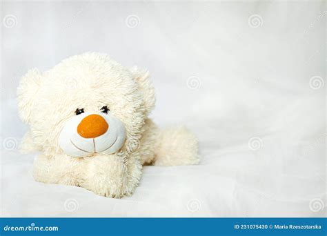 Teddy Bear In The Bed Stock Photo Image Of Baby Lying 231075430