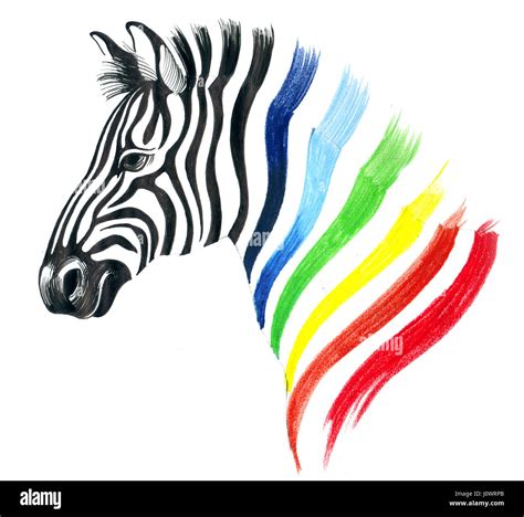 Colorful Zebra Pictures