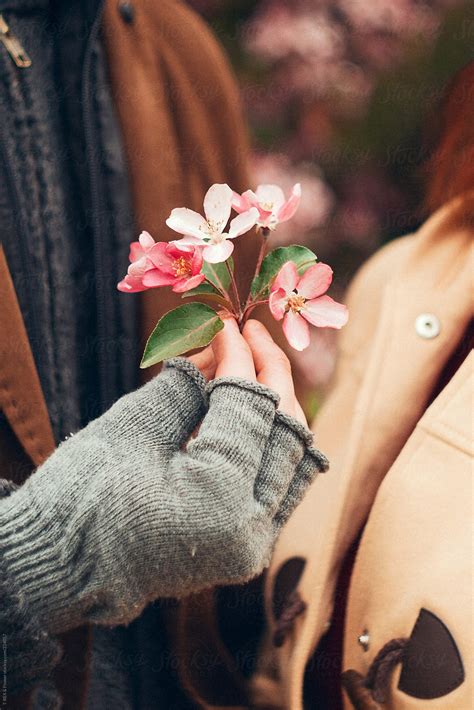 Beautiful Happy Couple In Flowers By Danil Nevsky