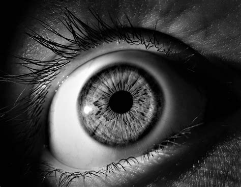 557243 Black And White Blur Close Up Eye Eye Lashes Iris Macro