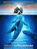 Tres ballenas mágicas Una aventura extraordinaria