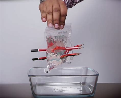 Test Plastic Leak Proof Bag With Pencils Science Model