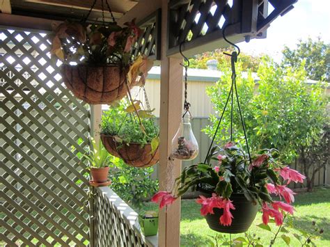 Plant suggestions for hanging baskets | Bunnings Workshop community