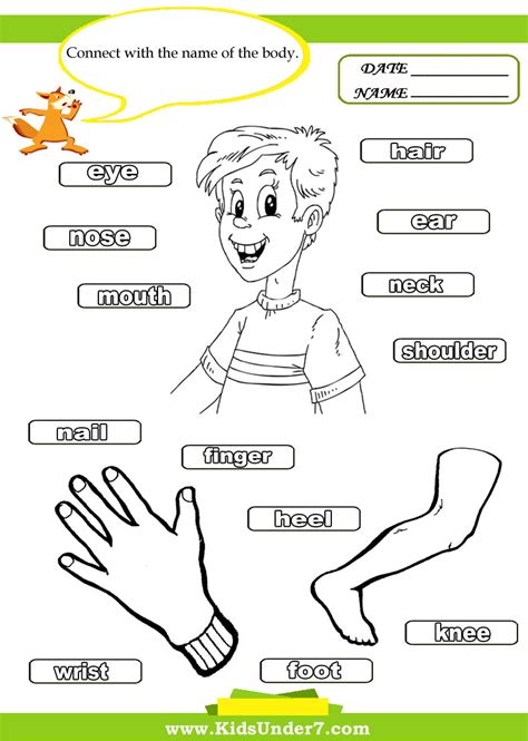 Kids Under 7 Parts Of The Body