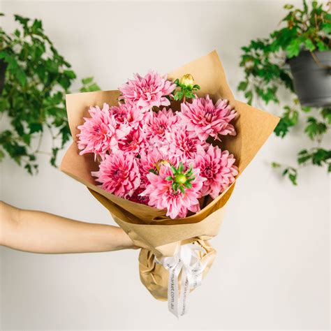 Atlanta flower market offers fresh flower delivery atlanta. Our popular Queensland grown dahlias are now available ...