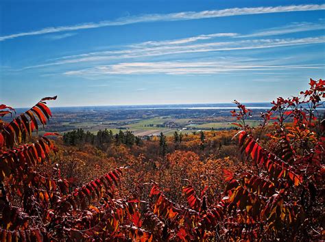Fall Foliage Viewed Through Red Leaved Sumac Trees Photograph By