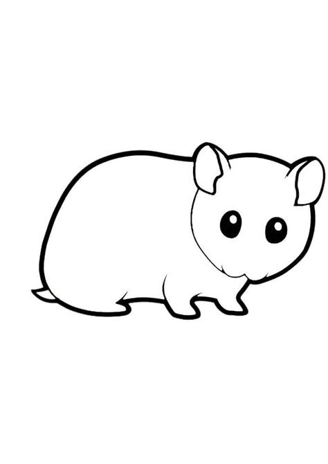 Desenho Básico de Hamster para colorir imprimir e desenhar Colorir Me