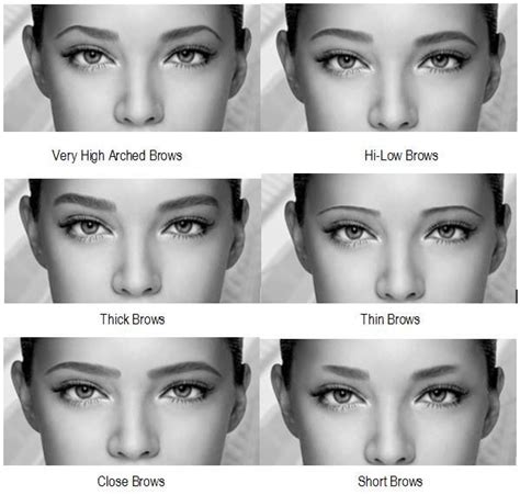 eyebrow types of eyebrows different eyebrow shapes eyebrow shape