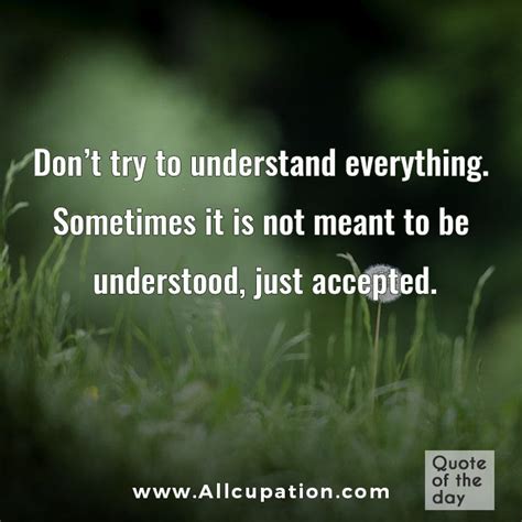 Dont Try To Understand Everythingjust Acceptedlloe