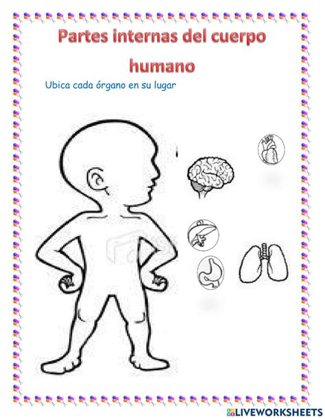 Ficha Interactiva De El Cuerpo Humano Para Preescolar
