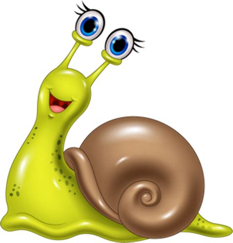 Download High Quality Snail Clipart Slug Transparent Png Images Art