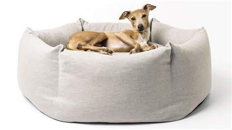 Best Dog Bed The Cosiest Cots And Couches For Your Canine Companion