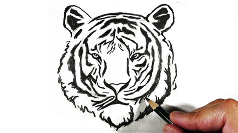 Aprender Acerca Imagen Dibujos De Un Tigre Facil Thptletrongtan