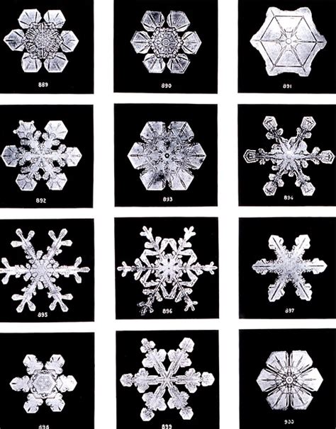 Crystals Ice Crystal Snow · Free Photo On Pixabay
