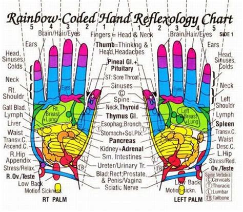my own thoughts acupressure reflexology charts collection hand reflexology reflexology