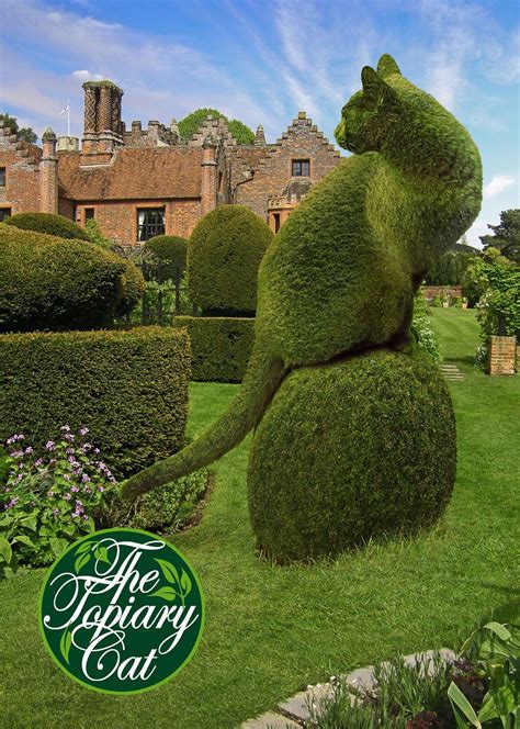 Pin By Nana 🌺 On Boxwood And Topiary Topiary Garden Topiary Beautiful