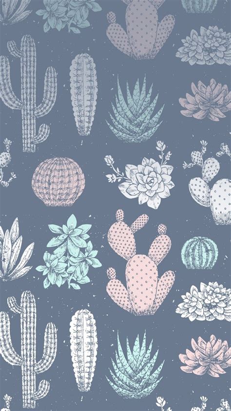 21 Cactus Iphone Wallpapers Wallpaperboat
