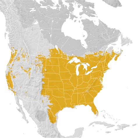 Wood Duck Range Map Pre Breeding Migration Ebird