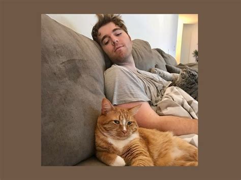How Did Shane Dawson Treat His Cat Youtuber Shane Dawson Apologises