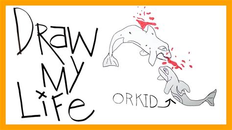 We did not find results for: Draw My Life: Orkid at SeaWorld - YouTube