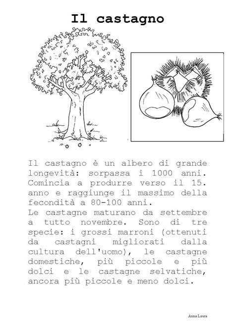 I frutti tipici di questa stagione: Attività didattiche sull'autunno | Scienza per bambini ...