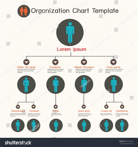 Organization Chart Template Stock Vector Illustration 165733424