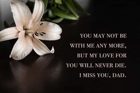 40 Miss You Dad Quotes Poems And Messages Shutterfly