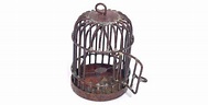 The Empty Bird Cage - God's Grace - People Places & Pastimes