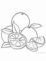 Coloring Grapefruit Printable sketch template