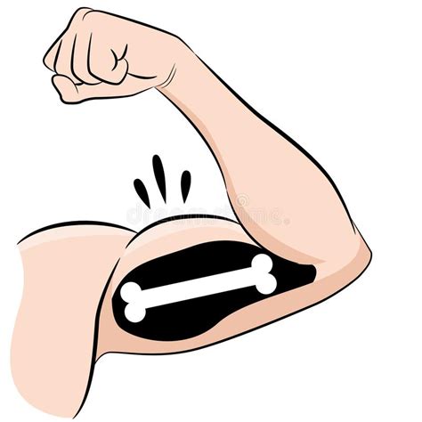 Strong Muscles Bones Male Arm Flexing Bicep Stock Vector Illustration