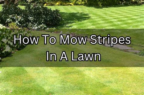 How To Mow Stripes In A Lawn The Turf Doctor