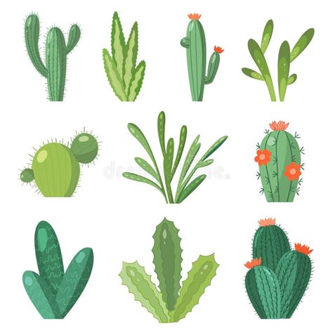 Cartoon Cactus Vector Set Of Bright Cacti Stock Vector Illustration