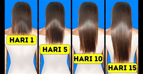 Cara Memanjangkan Rambut Dalam 1 Hari Cara Memanjangkan Rambut Dengan