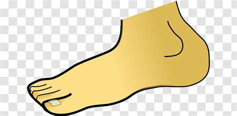 Foot Clip Art Ankle Parts Of The Body Transparent Png