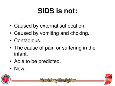 PPT - Sudden Infant Death Syndrome PowerPoint Presentation, free download - ID:3012156