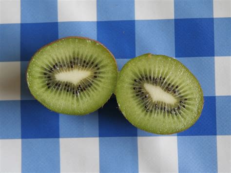 Free Images Fruit Spiral Food Green Produce Blue Yellow Healthy Circle Kiwi Vitamins