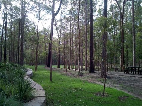 Daisy Hill Conservation Park UPDATED All You Need To Know Before