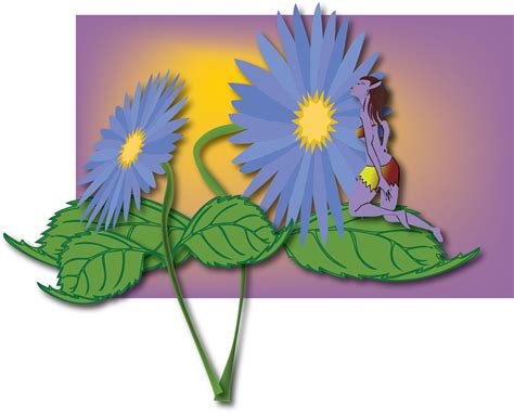 Dimensions Sunflower Clipart Full Size Clipart 3270082 Pinclipart