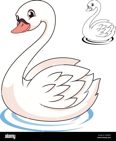 Baby Swan In Water Stock Vector Images Alamy