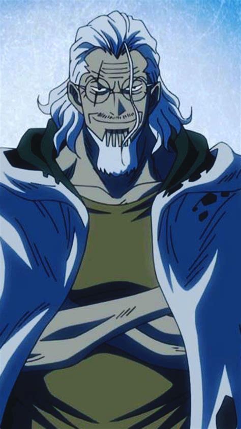 One Piece Rayleigh Wallpapers Wallpaper Cave