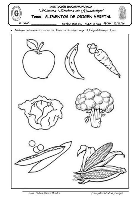 Collection Of Origen De Los Alimentos Para Colorear Clasificacion De