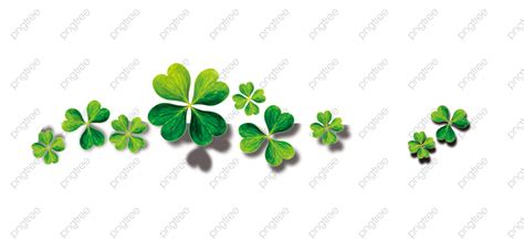 Transparent four leaf clover PNG Format Image With Size 4217*2015 png image